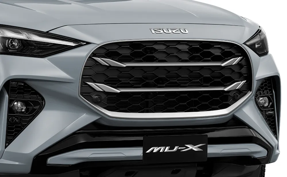 Radiator Grille_RBD